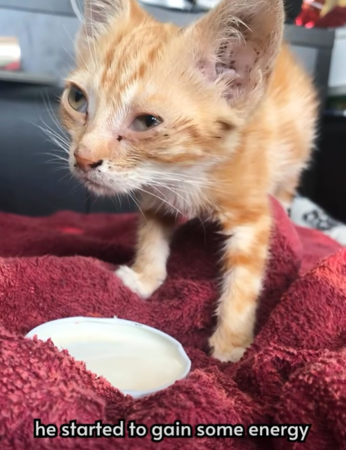 he started to gain some energy