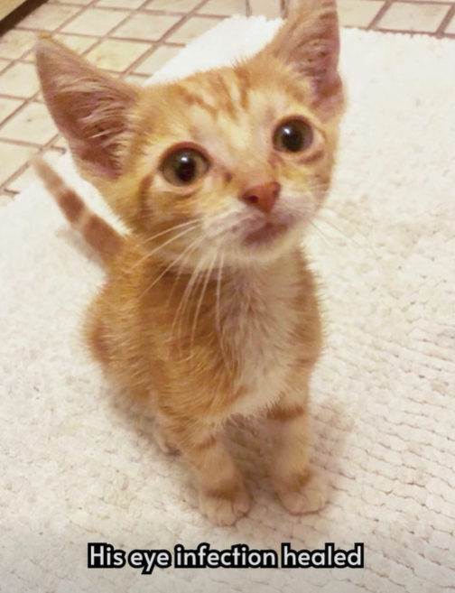 His eye infection healed