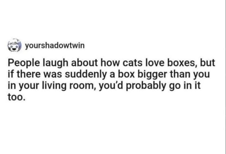 yourshadowtwin People laugh about how cats love boxes, but if there was suddenly a box bigger than you in your living room, you'd probably go in it too.