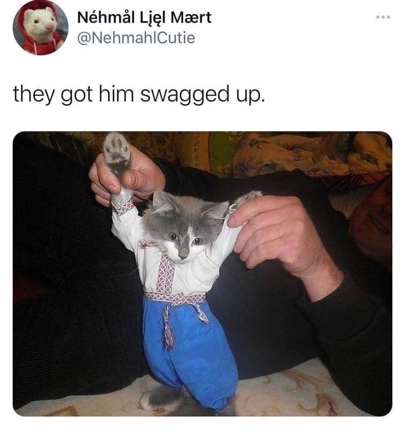 Néhmål Lięl Mært @NehmahlCutie they got him swagged up.