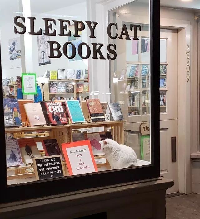 SLEEPY CAT BOOKS BLUE OPEN MIC MARGARET CHO EXAMIN RECEPTIONIS THANK YOU FOR SUPPORTING OUR BOOKSHOP & SLEEPY CATS ALL BOOKS! BUY 2 GET 3RD FREE Ор ALL O 2509