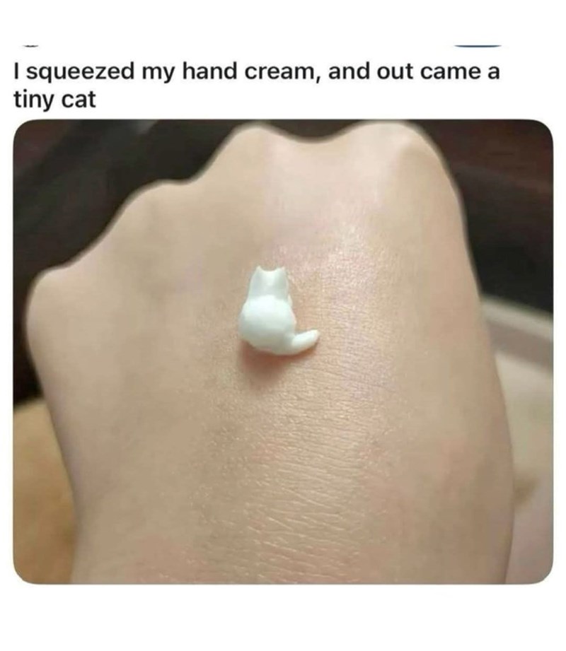 I squeezed my hand cream, and out came a tiny cat