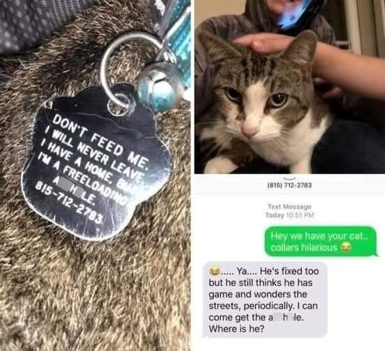 DON'T FEED ME. I WILL NEVER LEAVE I HAVE A HOME, B I'M A FREELOADING HOLE. 815-712-2783 (815) 712-2783 Text Message Today 10:51 PM Hey we have your cat.. collars hilarious . Ya.... He's fixed too but he still thinks he has game and wonders the streets, periodically. I can come get the ah le. Where is he?