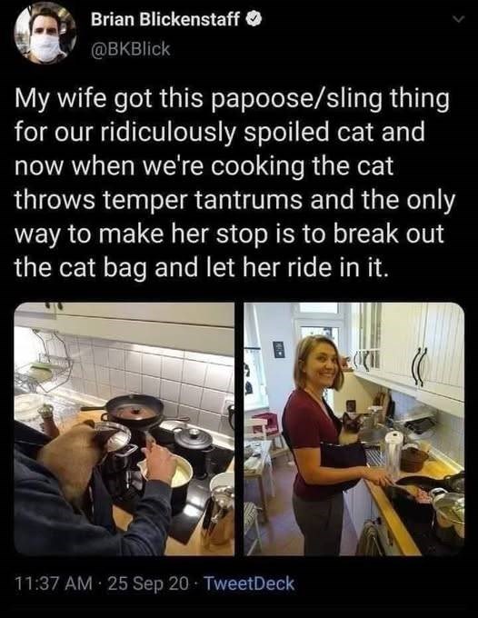 Brian Blickenstaff @BKBlick My wife got this papoose/sling thing for our ridiculously spoiled cat and now when we're cooking the cat throws temper tantrums and the only way to make her stop is to break out the cat bag and let her ride in it. • 11:37 AM 25 Sep 20 TweetDeck