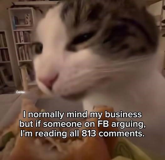 Lucian I normally mind my business but if someone on FB arguing, I'm reading all 813 comments.