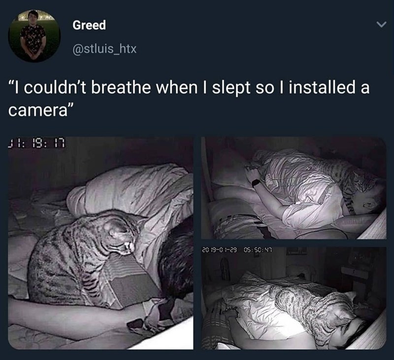 Greed @stluis_htx "I couldn't breathe when I slept so I installed a camera" J 1: 19: 17 20 19-01-29 05:50:47