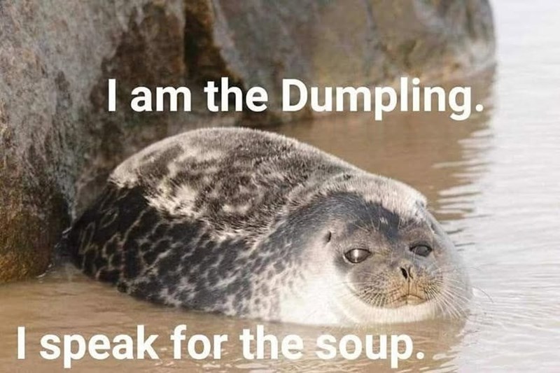 I am the Dumpling. I speak for the soup.