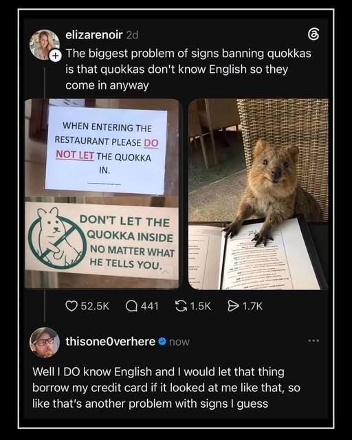 elizarenoir 2d The biggest problem of signs banning quokkas is that quokkas don't know English so they come in anyway WHEN ENTERING THE RESTAURANT PLEASE DO NOT LET THE QUOKKA IN. DON'T LET THE QUOKKA INSIDE NO MATTER WHAT HE TELLS YOU. 52.5K 441 1.5K > 1.7K thisone Overhere ❤ now Well I DO know English and I would let that thing borrow my credit card if it looked at me like that, so like that's another problem with signs I guess கு