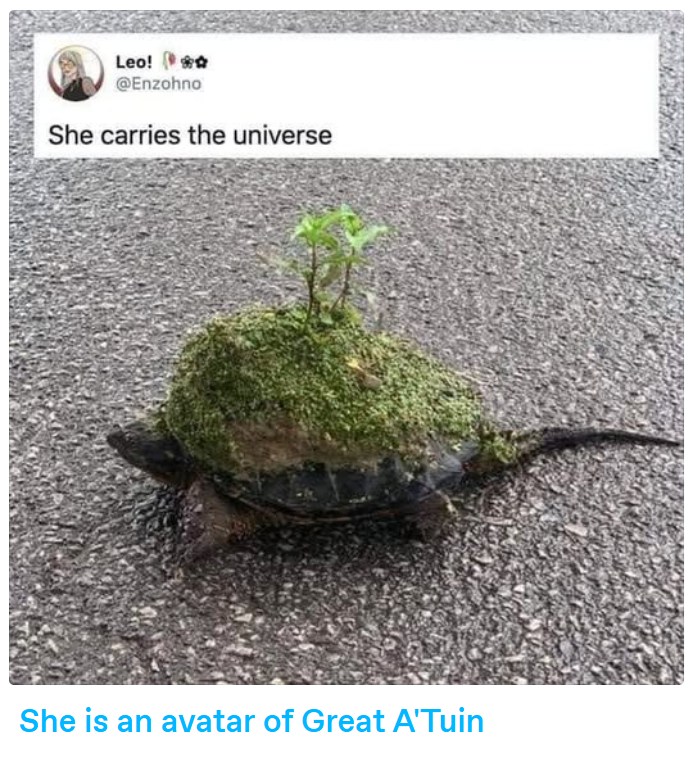 Leo! @Enzohno She carries the universe She is an avatar of Great A'Tuin