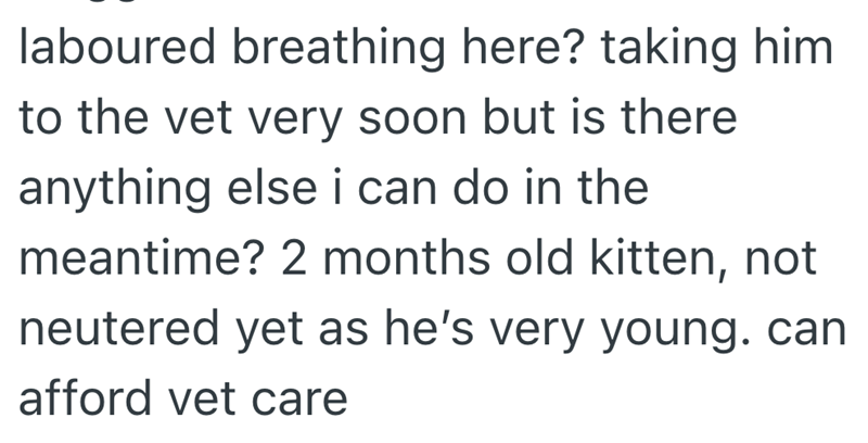 laboured breathing here? taking him to the vet very soon but is there anything else i can do in the meantime? 2 months old kitten, not neutered yet as he's very young. can afford vet care