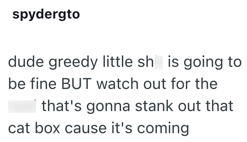 spydergto dude greedy little sh is going to be fine BUT watch out for the that's gonna stank out that cat box cause it's coming