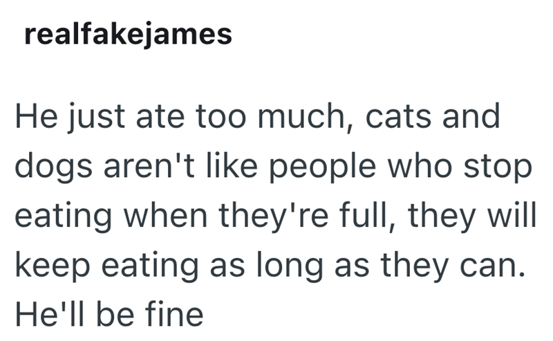 realfakejames He just ate too much, cats and dogs aren't like people who stop eating when they're full, they will keep eating as long as they can. He'll be fine
