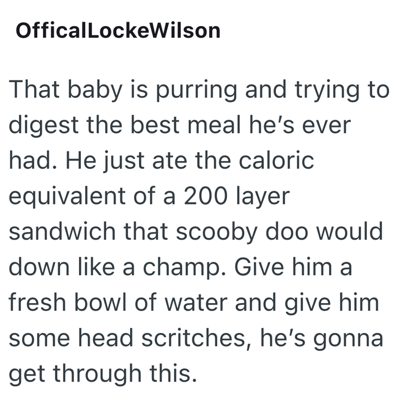 OfficalLockeWilson That baby is purring and trying to digest the best meal he's ever had. He just ate the caloric equivalent of a 200 layer sandwich that scooby doo would down like a champ. Give him a fresh bowl of water and give him some head scritches, he's gonna get through this.