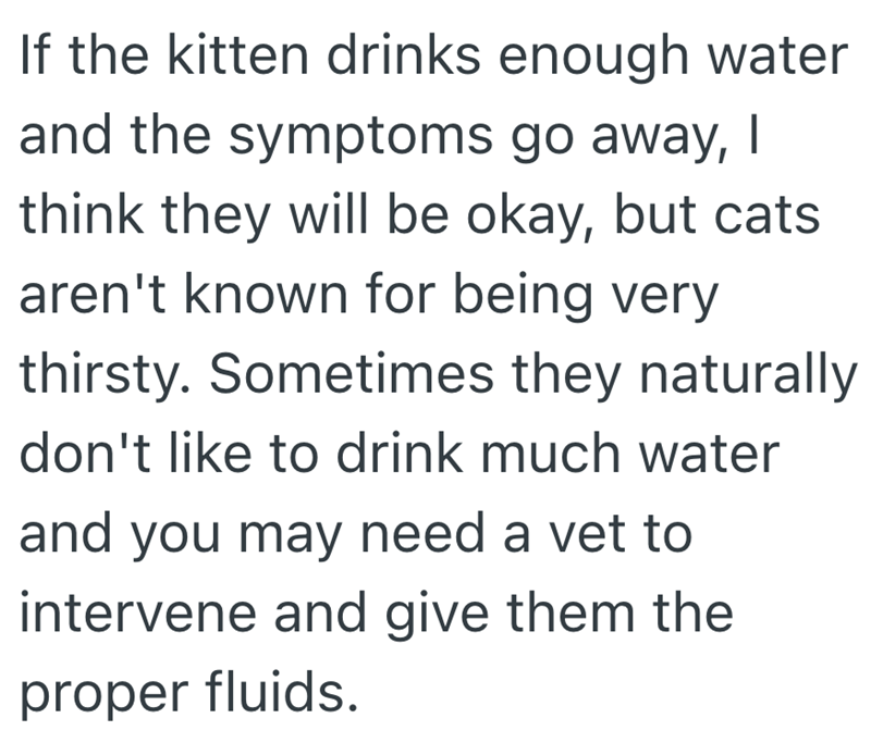 If the kitten drinks enough water and the symptoms go away, I think they will be okay, but cats aren't known for being very thirsty. Sometimes they naturally don't like to drink much water and you may need a vet to intervene and give them the proper fluids.