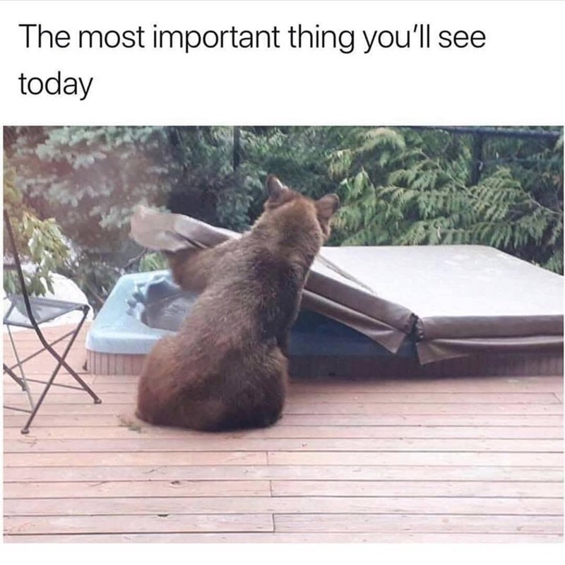 The most important thing you'll see today