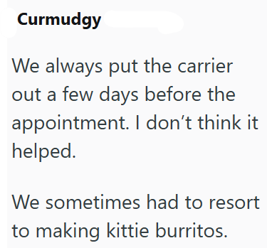 Curmudgy We always put the carrier out a few days before the appointment. I don't think it helped. We sometimes had to resort to making kittie burritos.