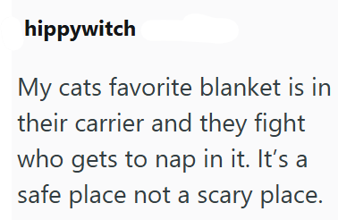 hippywitch My cats favorite blanket is in their carrier and they fight who gets to nap in it. It's a safe place not a scary place.