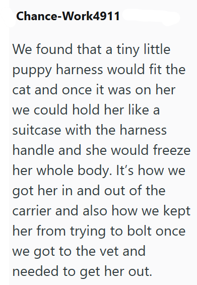 Chance-Work4911 We found that a tiny little puppy harness would fit the cat and once it was on her we could hold her like a suitcase with the harness handle and she would freeze her whole body. It's how we got her in and out of the carrier and also how we kept her from trying to bolt once we got to the vet and needed to get her out.