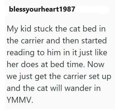 blessyourheart1987 My kid stuck the cat bed in the carrier and then started reading to him in it just like her does at bed time. Now we just get the carrier set up and the cat will wander in YMMV.