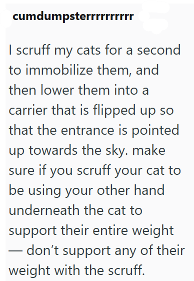 cumdumpsterrrrrrrrrr I scruff my cats for a second to immobilize them, and then lower them into a carrier that is flipped up so that the entrance is pointed up towards the sky. make sure if you scruff your cat to be using your other hand underneath the cat to support their entire weight - don't support any of their weight with the scruff.