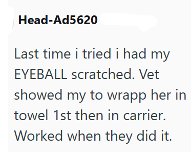 Head-Ad5620 Last time i tried i had my EYEBALL scratched. Vet showed my to wrapp her in towel 1st then in carrier. Worked when they did it.