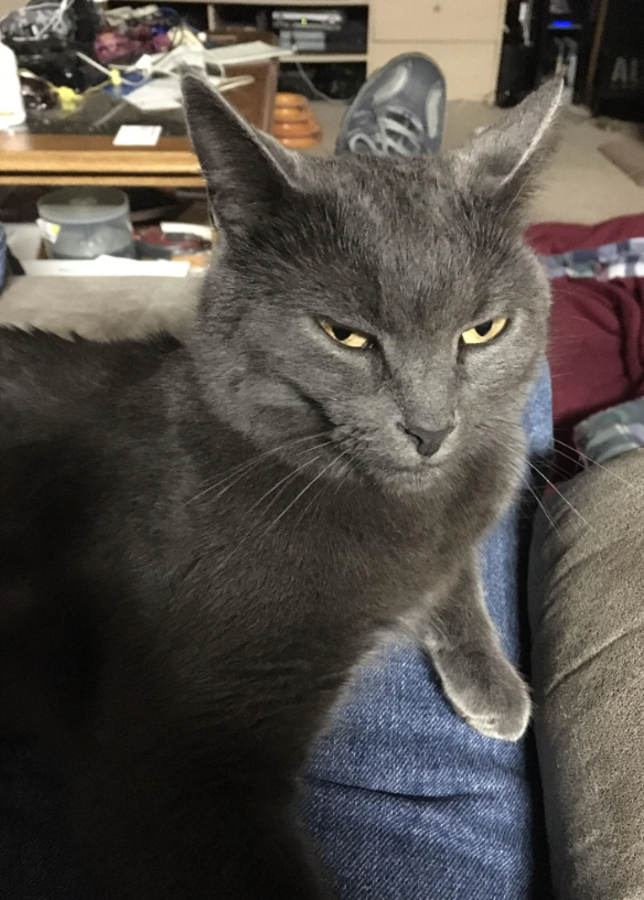 AL