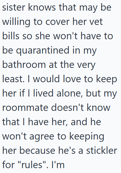 sister knows that may be willing to cover her vet bills so she won't have to be quarantined in my bathroom at the very least. I would love to keep her if I lived alone, but my roommate doesn't know that I have her, and he won't agree to keeping her because he's a stickler for "rules". I'm