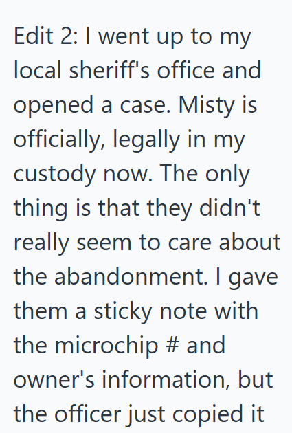 Edit 2: I went up to my local sheriff's office and opened a case. Misty is officially, legally in my custody now. The only thing is that they didn't really seem to care about the abandonment. I gave them a sticky note with the microchip # and owner's information, but the officer just copied it