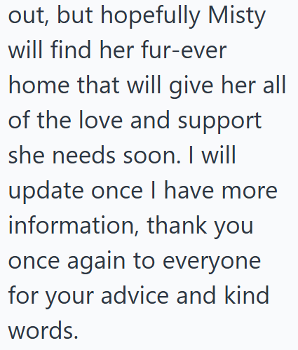out, but hopefully Misty will find her fur-ever home that will give her all of the love and support she needs soon. I will update once I have more information, thank you once again to everyone for your advice and kind words.