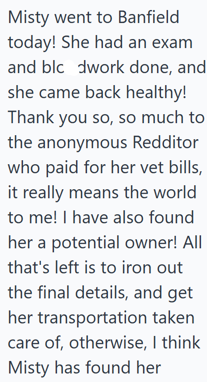 Misty went to Banfield today! She had an exam and blc dwork done, and she came back healthy! Thank you so, so much to the anonymous Redditor who paid for her vet bills, it really means the world to me! I have also found her a potential owner! All that's left is to iron out the final details, and get her transportation taken care of, otherwise, I think Misty has found her