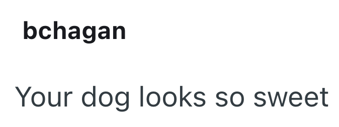 bchagan Your dog looks so sweet