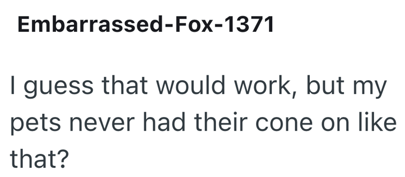 Embarrassed-Fox-1371 I guess that would work, but my pets never had their cone on like that?