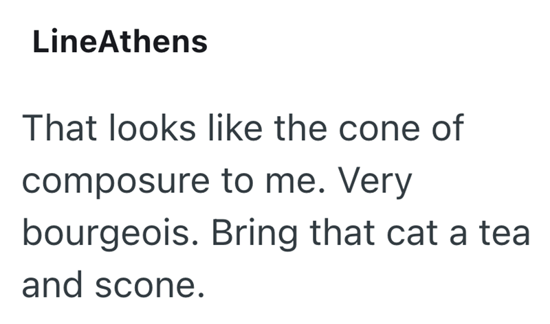 LineAthens That looks like the cone of composure to me. Very bourgeois. Bring that cat a tea and scone.