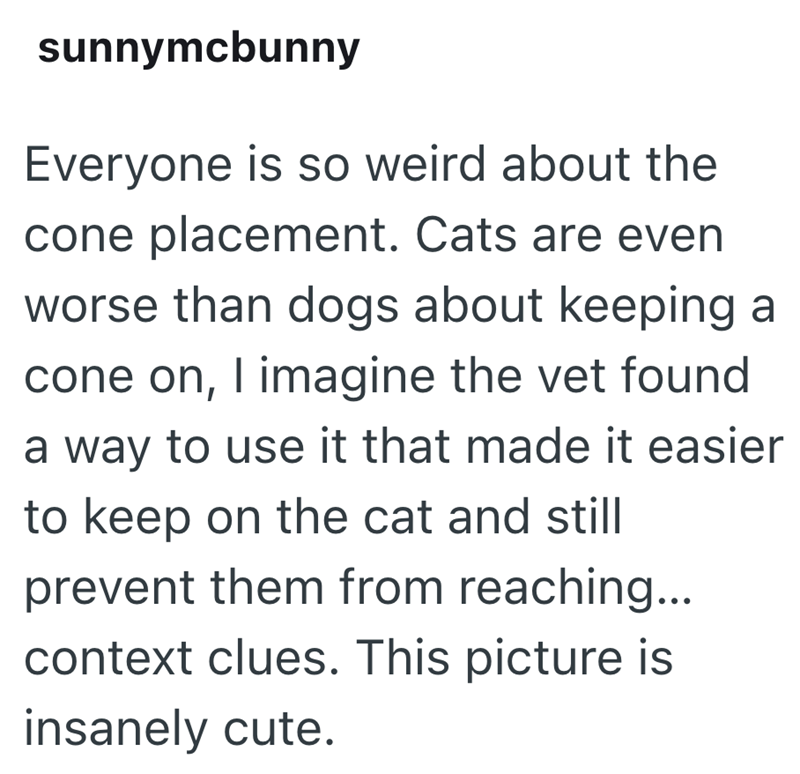 sunnymcbunny Everyone is so weird about the cone placement. Cats are even worse than dogs about keeping a cone on, I imagine the vet found a way to use it that made it easier to keep on the cat and still prevent them from reaching... context clues. This picture is insanely cute.