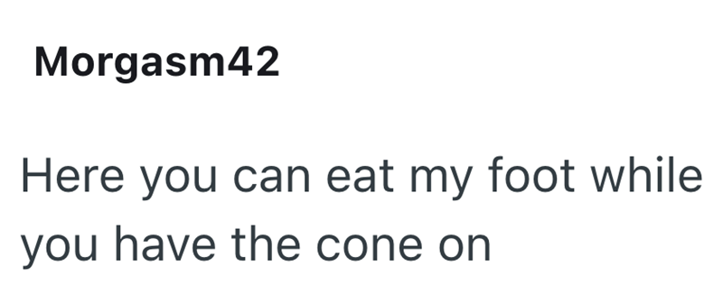 Morgasm42 Here you can eat my foot while you have the cone on