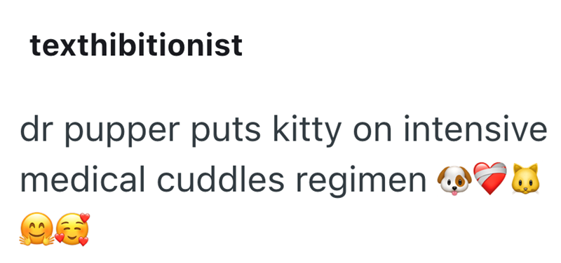 texthibitionist dr pupper puts kitty on intensive medical cuddles regimen