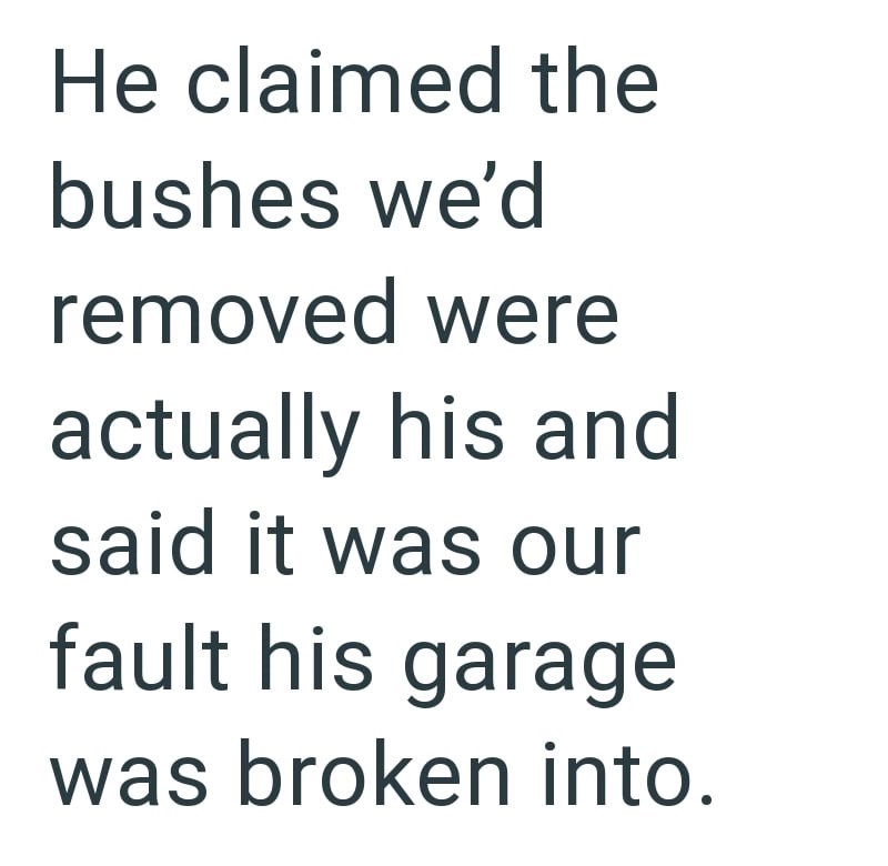He claimed the bushes we'd removed were actually his and said it was our fault his garage was broken into.
