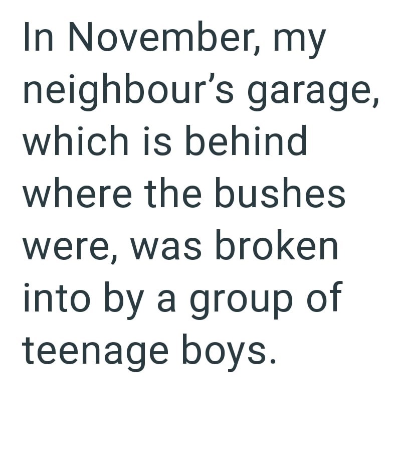 In November, my neighbour's garage, which is behind where the bushes were, was broken into by a group of teenage boys.