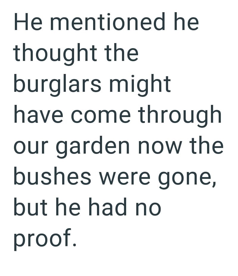 He mentioned he thought the burglars might have come through our garden now the bushes were gone, but he had no proof.