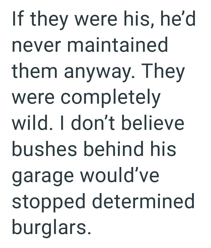 If they were his, he'd never maintained them anyway. They were completely wild. I don't believe bushes behind his garage would've stopped determined burglars.