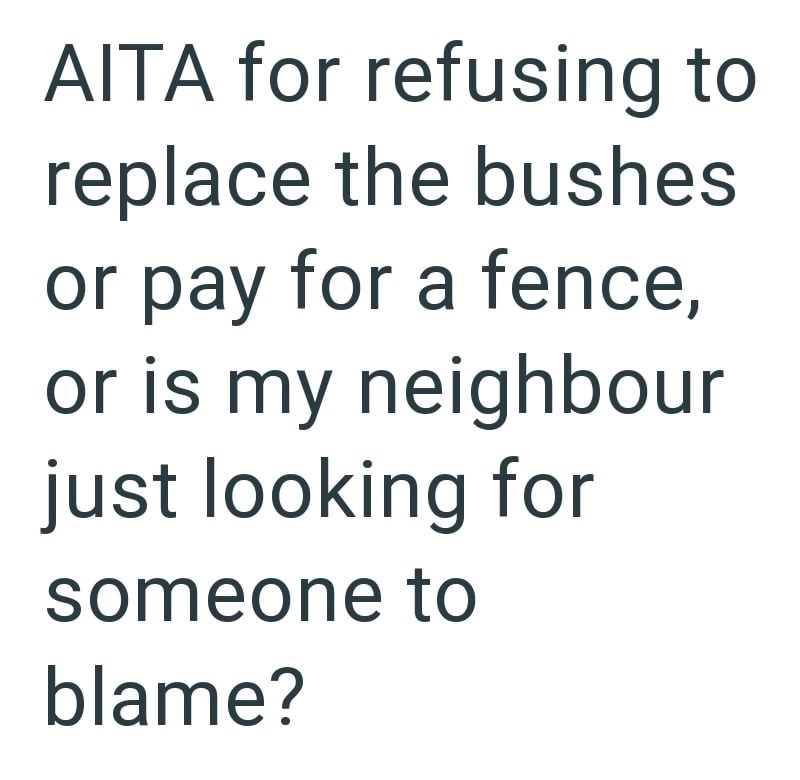 AITA for refusing to replace the bushes or pay for a fence, or is my neighbour just looking for someone to blame?