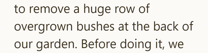 to remove a huge row of overgrown bushes at the back of our garden. Before doing it, we