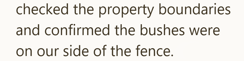 checked the property boundaries and confirmed the bushes were on our side of the fence.