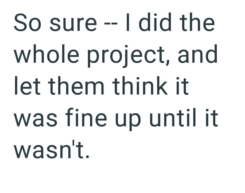 So sure I did the whole project, and let them think it was fine up until it wasn't.