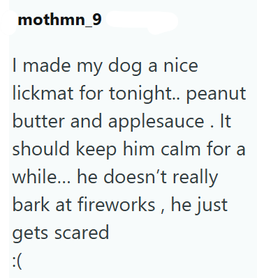 mothmn_9 I made my dog a nice lickmat for tonight.. peanut butter and applesauce. It should keep him calm for a while... he doesn't really bark at fireworks, he just gets scared :(