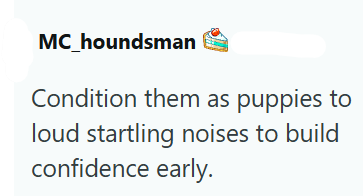 MC_houndsman Condition them as puppies to loud startling noises to build confidence early.