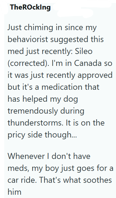 TheRocking Just chiming in since my behaviorist suggested this med just recently: Sileo (corrected). I'm in Canada so it was just recently approved but it's a medication that has helped my dog tremendously during thunderstorms. It is on the pricy side though... Whenever I don't have meds, my boy just goes for a car ride. That's what soothes him