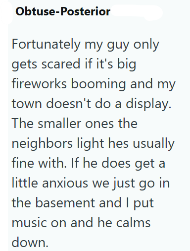 Obtuse-Posterior Fortunately my guy only gets scared if it's big fireworks booming and my town doesn't do a display. The smaller ones the neighbors light hes usually fine with. If he does get a little anxious we just go in the basement and I put music on and he calms down.
