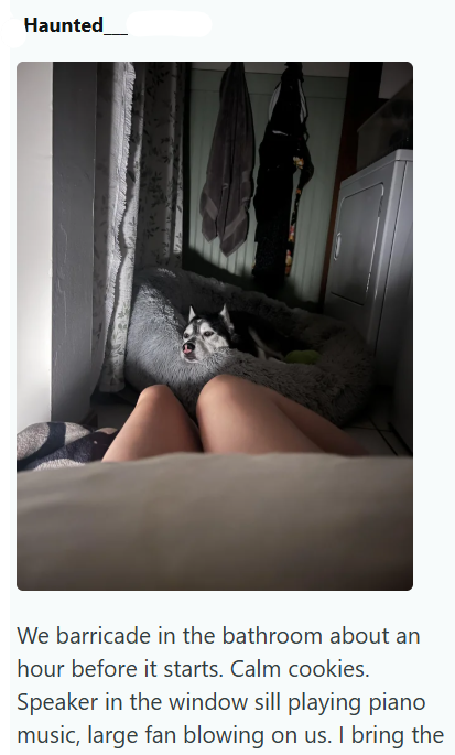 Haunted We barricade in the bathroom about an hour before it starts. Calm cookies. Speaker in the window sill playing piano music, large fan blowing on us. I bring the