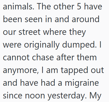animals. The other 5 have been seen in and around our street where they were originally dumped. I cannot chase after them anymore, I am tapped out and have had a migraine since noon yesterday. My